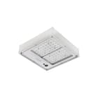 Signify - Mini 300 LED Floodlight/Schijnwerper Plafond-/wandarmatuur Ph Bcp333 Led159/740 Prm Psu I