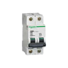 Schneider Electric Merlin Gerin - C60 N Installatieautomaat autom 10ka c60n 10a-d 2p
