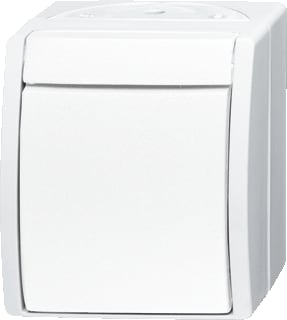 ABB Busch-Jaeger - Ocean Installatieschakelaar Schak 2Pol 2601/2W-54 Oce