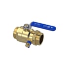 Raminex - Kogelafsluiter Kk 13/4''Bux13/4''Bu Aftap
