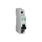 Schneider Electric - Installatieautomaat Multi9 C60Sp 1P D 6A 10Ka