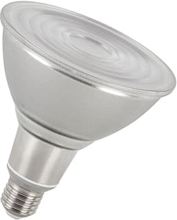 Bailey - LED-lamp Spot Par38 E27 Dim 12W