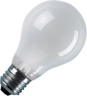 Orbitec - Standaard Laagvolt lamp Gloeilamp standaard 12V 60W M St2243 E27 Ds10