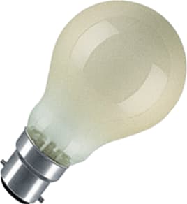 Orbitec - Standaard Laagvolt lamp Gloeilamp standaard 24v 40w m st2440 b22 ds10