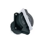 Ceag - CEE-contactdoos explosieveilig Ex Cee Wcd Inb 2P/16A 42V