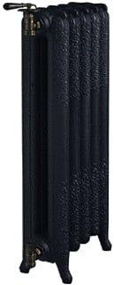 DRL - Radiator (leden) 420713