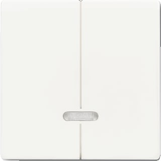ABB Busch-Jaeger - Future, Axcent Bed.element / centr.pl. schakelmat. Tip 6545-884 Mw Fut