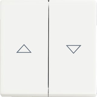 ABB Busch-Jaeger - Future Bed.element / centr.pl. schakelmat. Wip Jalz 1785Ja-884