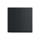 ABB Busch-Jaeger - Future, Axcent, Carat Bed.element / centr.pl. schakelmat. Wip 2X 1785-885 Zw