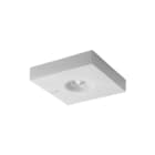 Etap - K9 Noodverlichtingsarmatuur K9R162/3X1
