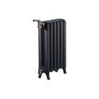 DRL - Radiator (leden) 465613
