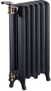 DRL - Radiator (leden) 465616