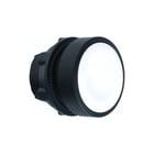 Schneider Electric - Harmony XB5 Drukknop frontelement  zb5aacust01