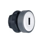 Schneider Electric - Harmony XB5 Drukknop frontelement zb5aacust06