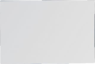 Delabie - Spiegel 600X400 Zlfkl Rvsp