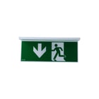 Eaton Blessing - NexiTech Pictogram noodverlichting Pictogr Nexi-Plexo-20-Dd