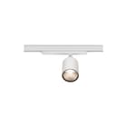 Trilux - Downlight/spot/schijnwerper  8432751