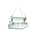 PRACHT - QUADRONIUS Halstraler h-bay 29 1x143 ex as
