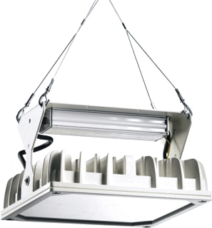 PRACHT - QUADRONIUS Halstraler 29cm 137w 120