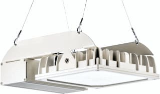 PRACHT - QUADRONIUS IND Halstraler h-bay ind dal46 1x134 120