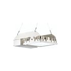 PRACHT - QUADRONIUS IND Halstraler h-bay ind dal46 1x134 120