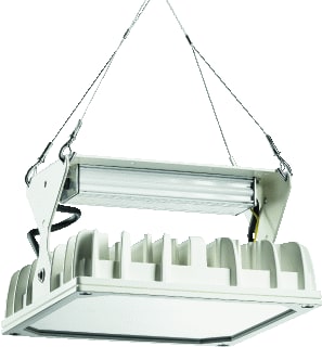 PRACHT - QUADRONIUS Halstraler h-bay 29 1x97 30