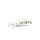 PRACHT - QUADRONIUS HT Halstraler h-bay ht dal92 2x119 40