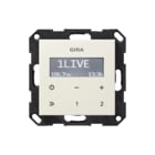 Gira - Systeem 55 Overige elektr. elemntn schakelmat. Radio Rds Z Luidsp Cwg 55