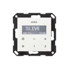 Gira - Systeem 55 Overige elektr. elemntn schakelmat. Radio Rds Z Luidsp Zwg 55