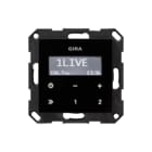 Gira - Systeem 55 Overige elektr. elemntn schakelmat. Radio Rds Z Luidsp Zgl 55