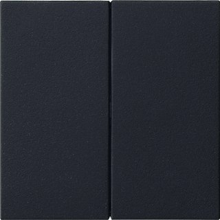 Gira - Systeem 55 Bed.element / centr.pl. schakelmat. Bede Wip 2V O S55 Antr
