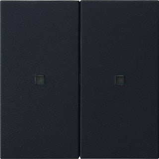Gira - Systeem 55 Toets bussysteem 510728