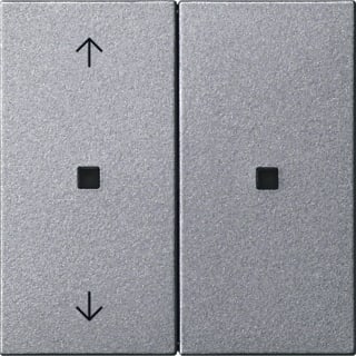 Gira - Toets bussysteem Systeem 55 510826