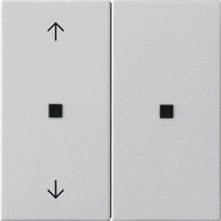 Gira - Toets bussysteem Systeem 55 510827