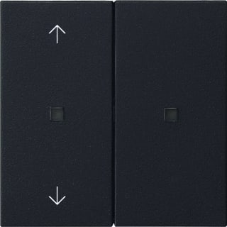 Gira - Toets bussysteem Systeem 55 510828