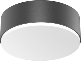 Steinel - Plafond-/wandarmatuur sensor rs pro a10 nw antr