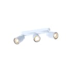 SLV - PURI 2.0 Plafond-/wandarmatuur Pl/Wnd Arm 1008322