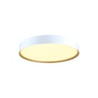 SLV - Decona Plafond-/wandarmatuur pl/wnd arm 1008583