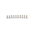Spit - Pulsa 800 CG Schietnagel Nagels Hcg 6/25 Ds500