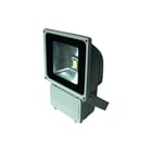 Bailey - Floodlight Grey Downlight/spot/schijnwerper led floodl 240v 100w cw