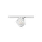 Concord - Downlight/spot/schijnwerper beac xxli85 med beam 4k w
