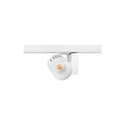 Concord - Downlight/spot/schijnwerper Xxl I85 Widebeam Ho 4K Wt