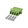 Miniatuur 1