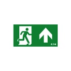 Eaton Blessing - Atlantic LED Industrie Pictogram noodverlichting Picto Atl Led D Bl Iso E