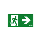 Eaton Blessing - GuideLED ISO Pictogram noodverlichting Picto Gdled 30Pr A