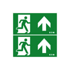 Eaton Blessing - GuideLED ISO Pictogram noodverlichting Picto Gdled 20Pb/Pb E+E