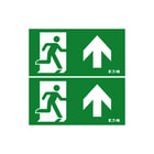 Eaton Blessing - Skopos ISO Pictogram noodverlichting Pictoruit Blk Bl E+E