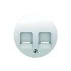 Hager Berker - R.1/R.3 Inzetplaat schakelmateriaal Centrst. +Stofsch.W. R1R3