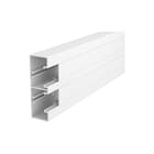 OBO - Rapid 45 Wandgoot 6113400 Lg2