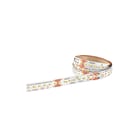 Tridonic - LED-module led-mod 28003599